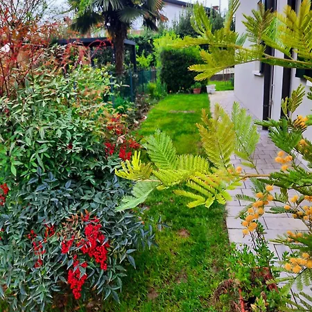 New Bedrooms Mamma Gigetta Bed & Breakfast Noventa di Piave